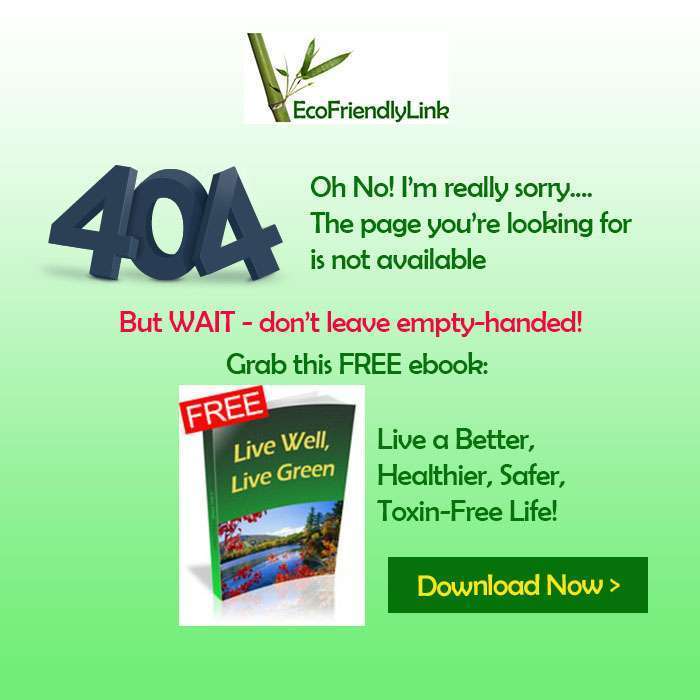 404 image
