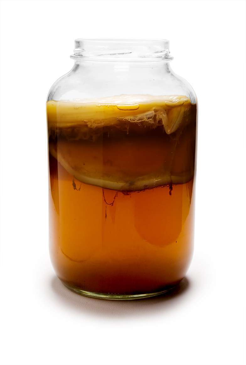 Kombucha tea recipes - here, in a glass jar