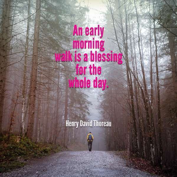 getting outside is a great benefit to your health