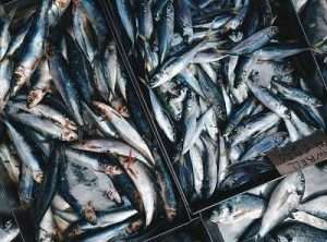 we eat plastic the wrong way