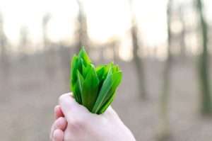protect the environment by creating an ecofriendly daily routine