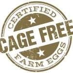 eco food labels - cage free eggs