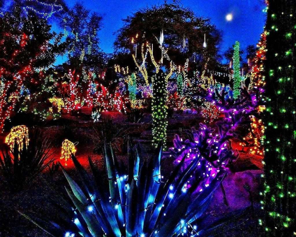 light up your whole garden with net lights